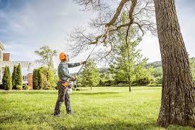 Best Tree Mulching  in Meron Park, CA